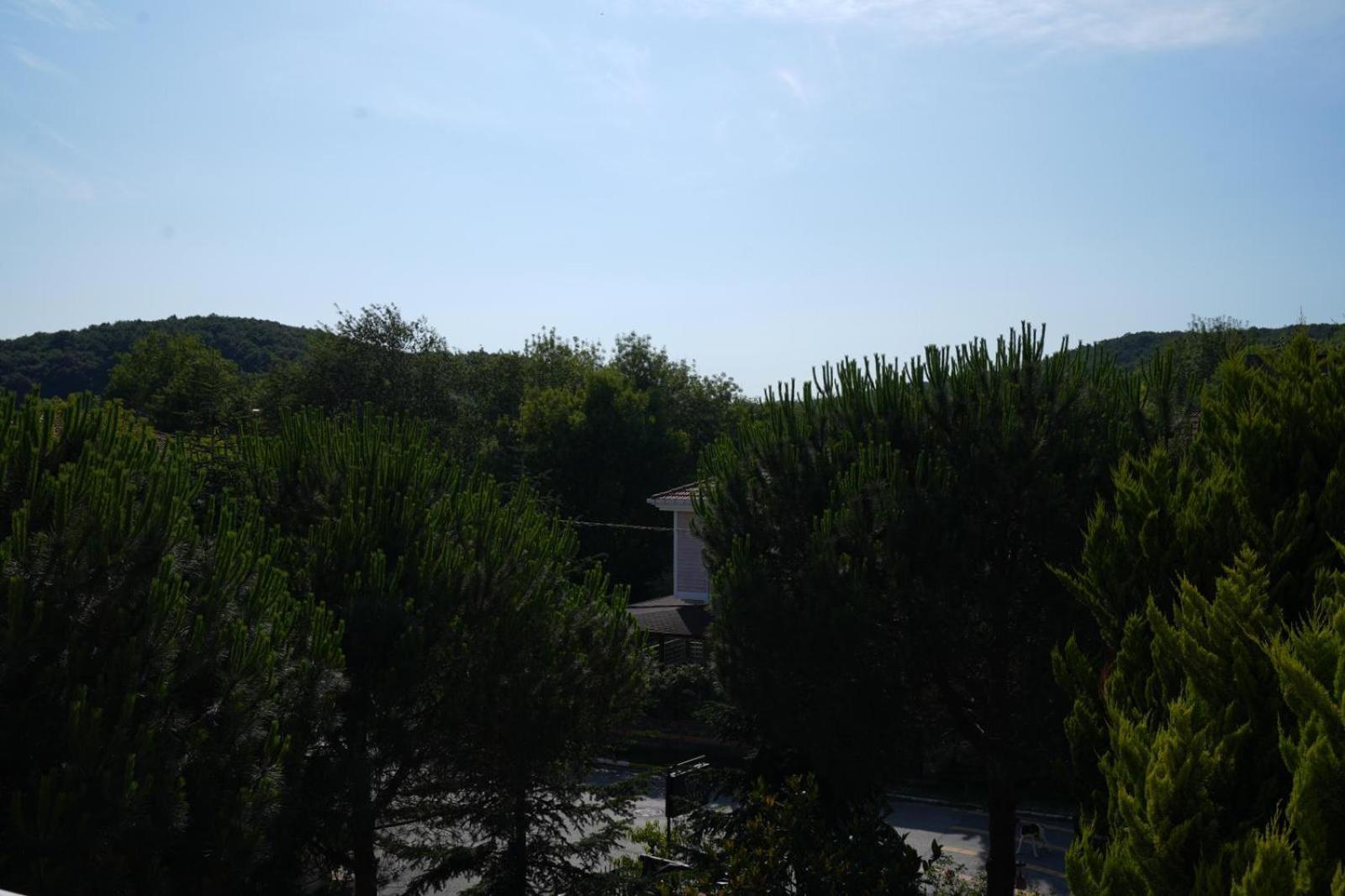 Butterfly Boutique Hotel Agva Exterior foto